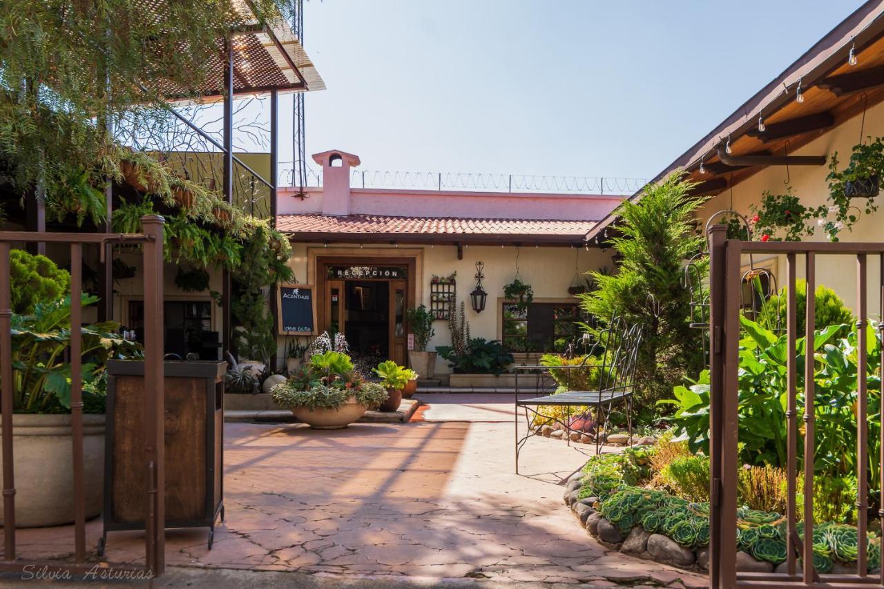 קצאלטננגו Acanthus Boutique Hotel מראה חיצוני תמונה